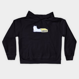 Ambivert - Purrsonality Cats Kids Hoodie